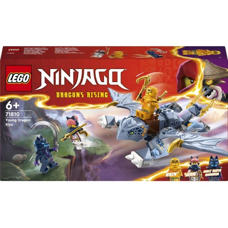 LEGO NINJAGO Dračí mládě Riyu 71810 STAVEBNICE